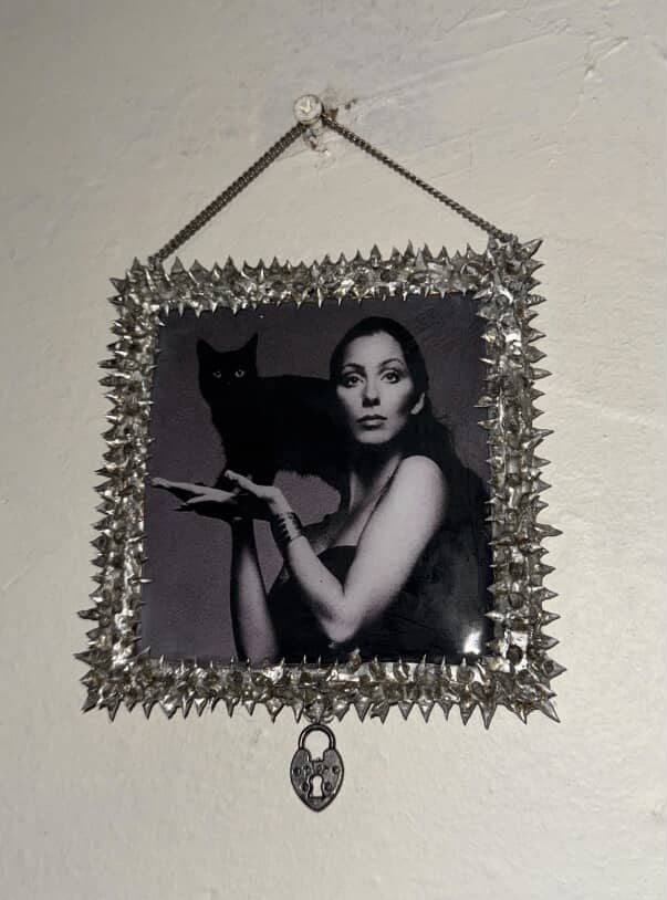 Cher