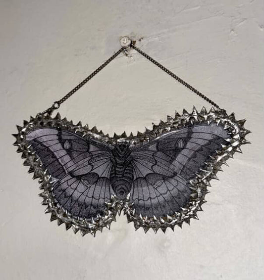 Moth